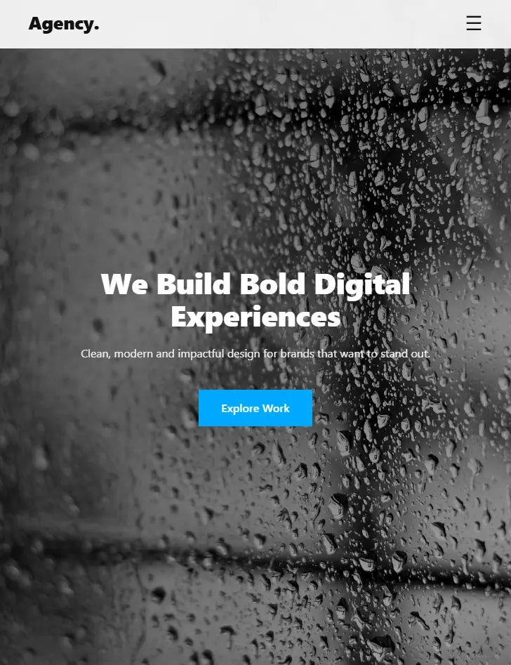 Portfolio paraugs: Clean